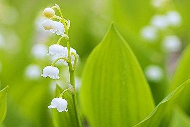 开放世界多人冒险《DUCKSIDE》9月25日开启抢先体验